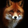 rence's profile picture