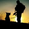 Фото профиля War Dogs