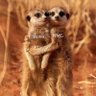 Troublemaker🍾 profil fotoğrafı