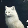 ゆきお profil fotoğrafı