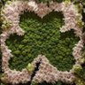 Princess Trashmonay☘️☘️☘️'s profile picture