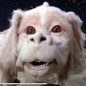 Falcor The Luck Dragon's profile picture