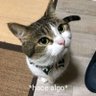 Eltium's profile picture