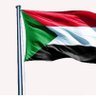 دولة 56's profile picture