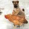 Фото профиля 程昰