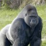 Фото профиля Juicer