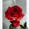 Фото профиля حصه🧡h