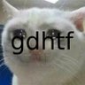 Фото профиля gdhtf