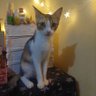 puda's profile picture