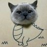kiyowo profil fotoğrafı
