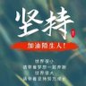 顺天意's profile picture