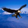 Kailash K.Bonde profil fotoğrafı