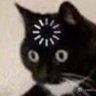 Profilbild von 酥鱼