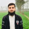 Tazeem Ali 🦋's profile picture