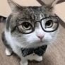 Profilbild von Ricky(K-T-K)