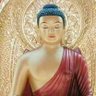 மியான்மர் புத்தன்'s profile picture