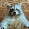 NA's profile picture