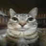 Ares profil fotoğrafı