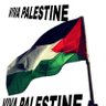 simo sima's profile picture