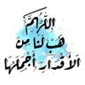 Фото профиля سما