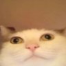 Profilbild von Kool-Aid