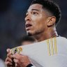 Nate_Erikson 🇧🇪🇧🇪's profile picture