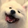 冬's profile picture