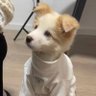 ShyAndHorny's profile picture