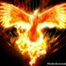 Profilbild von spiritual warrior