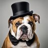 Charles P.'s profile picture