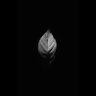 xxux11 ᯲ ̸'s profile picture