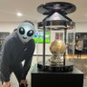 iNePlanTZ 🦧's profile picture