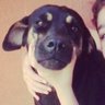 Roberto Isaac 🚦👽's profile picture