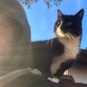 hail noname's profile picture