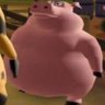 Profilbild von Fredink