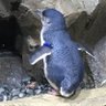 Фото профиля えはら