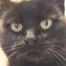 Profilbild von Stick