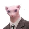 Assessor do Cariani's profile picture