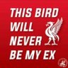 Vladimir Pepa's profile picture
