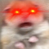 HypeR 🐵 的头像