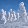 北の試される大地 profil fotoğrafı