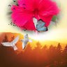 Фото профиля 🌺💝🌺KARTHIK💚💜💝💘