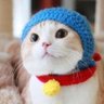 Profilbild von ＊amstar6＊