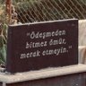 ankara profil fotoğrafı