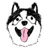 Profilbild von KUMA - the One & Only Dog Coin on Manta