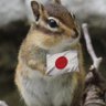りすぴ profil fotoğrafı