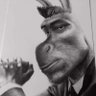 Profilbild von Kaptin