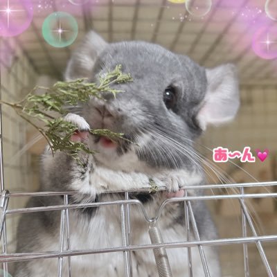 mocha_luv_xxx's profile picture