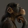 Илья Ершов's profile picture