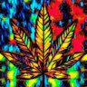 Profilbild von Spenny_Snoop_Dogg